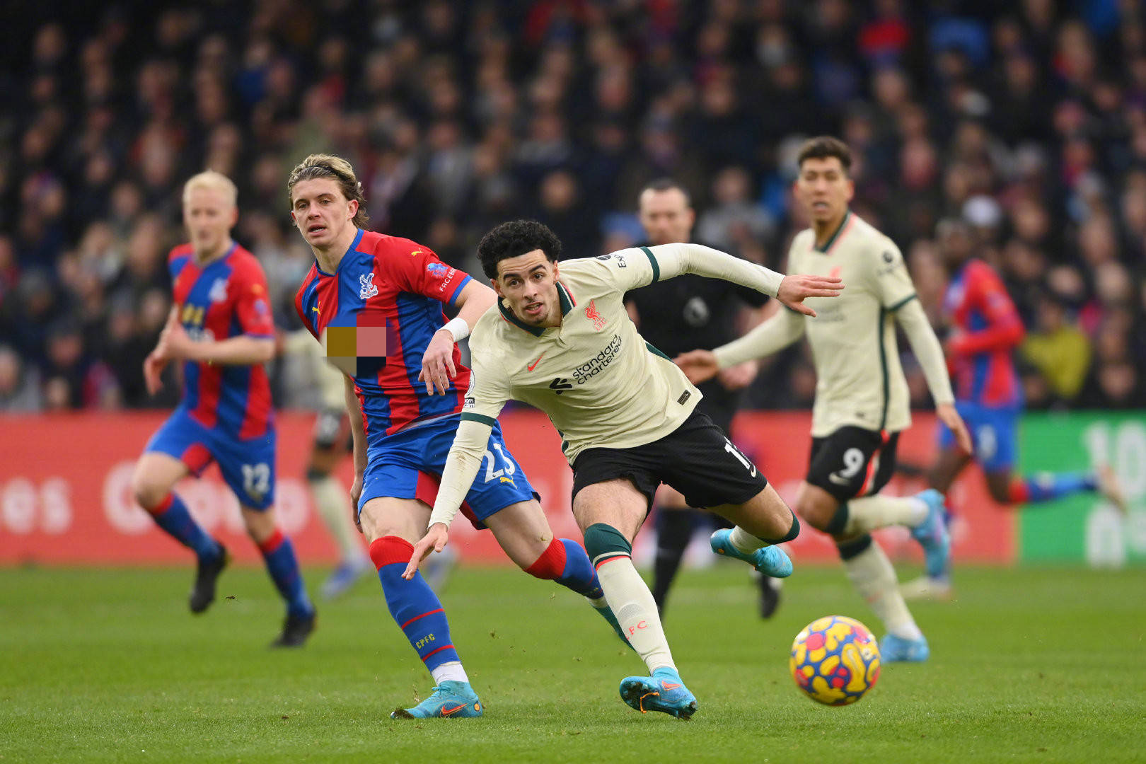 练团队也在 练团队也在