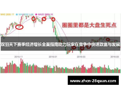 双羽天下赛季经济增长全面指南助力玩家在竞争中快速致富与发展
