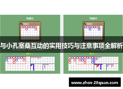 与小孔塞桑互动的实用技巧与注意事项全解析